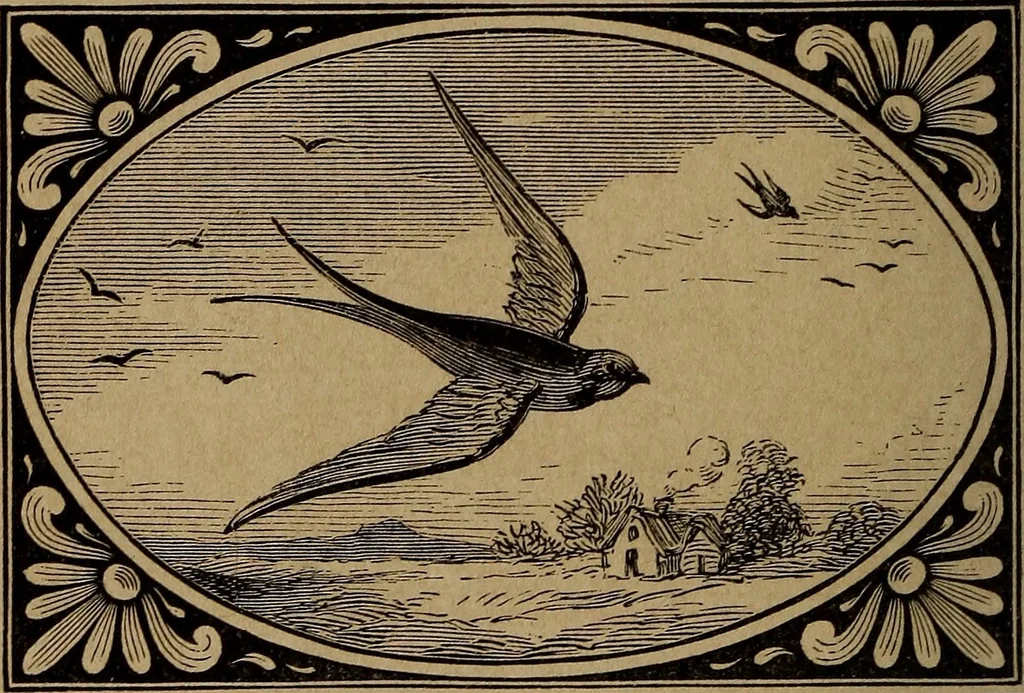 An illustration from Divine emblems, 1867, leaf 47