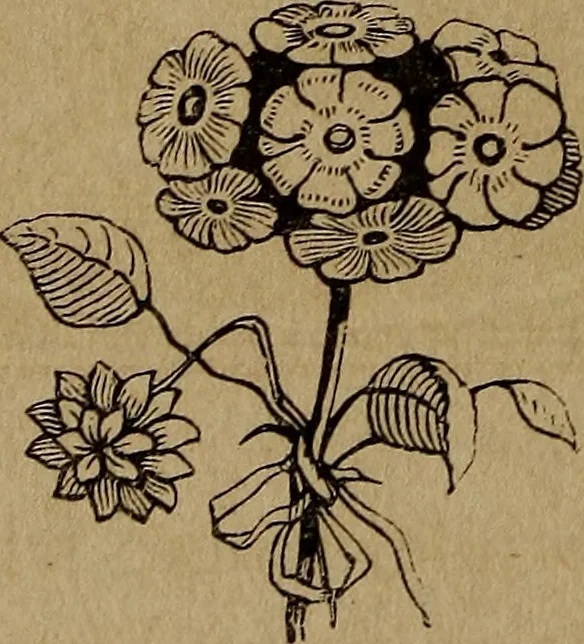 An illustration from Divine emblems, 1867, leaf 69