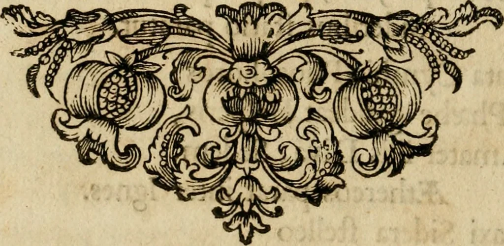 An illustration from Divo Francisco Borgiæ è Duce Gandiæ tertio, Soc. Jesu generali, à Clemente X Pont. Max. sanctorum clitum fastis ad scripto, Encomia emblemate, prosa, versu in de salvatoris Soc. Iesv ad S. Clementem, publice affixa in perpetuum amoris monumentum re ac typis incidi fecerunt, dum philosophum eius auspicys cptam primâ laureâ coronarent, 1672, leaf 15