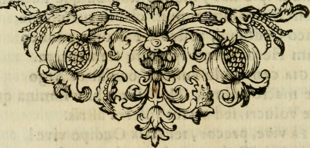 An illustration from Divo Francisco Borgiæ è Duce Gandiæ tertio, Soc. Jesu generali, à Clemente X Pont. Max. sanctorum clitum fastis ad scripto, Encomia emblemate, prosa, versu in de salvatoris Soc. Iesv ad S. Clementem, publice affixa in perpetuum amoris monumentum re ac typis incidi fecerunt, dum philosophum eius auspicys cptam primâ laureâ coronarent, 1672, leaf 29