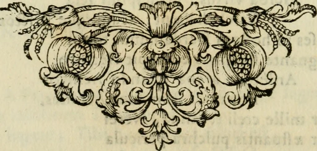 An illustration from Divo Francisco Borgiæ è Duce Gandiæ tertio, Soc. Jesu generali, à Clemente X Pont. Max. sanctorum clitum fastis ad scripto, Encomia emblemate, prosa, versu in de salvatoris Soc. Iesv ad S. Clementem, publice affixa in perpetuum amoris monumentum re ac typis incidi fecerunt, dum philosophum eius auspicys cptam primâ laureâ coronarent, 1672, leaf 35