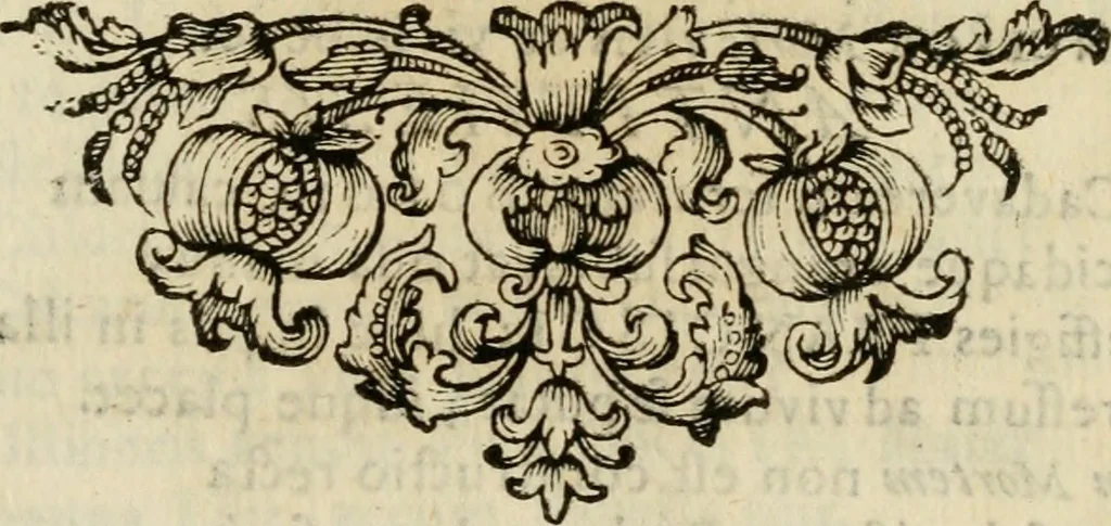 An illustration from Divo Francisco Borgiæ è Duce Gandiæ tertio, Soc. Jesu generali, à Clemente X Pont. Max. sanctorum clitum fastis ad scripto, Encomia emblemate, prosa, versu in de salvatoris Soc. Iesv ad S. Clementem, publice affixa in perpetuum amoris monumentum re ac typis incidi fecerunt, dum philosophum eius auspicys cptam primâ laureâ coronarent, 1672, leaf 46