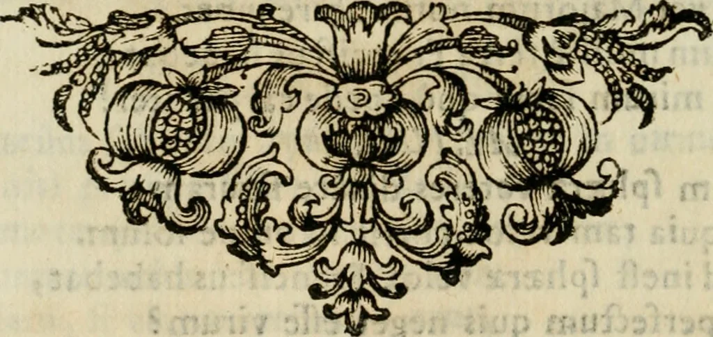 An illustration from Divo Francisco Borgiæ è Duce Gandiæ tertio, Soc. Jesu generali, à Clemente X Pont. Max. sanctorum clitum fastis ad scripto, Encomia emblemate, prosa, versu in de salvatoris Soc. Iesv ad S. Clementem, publice affixa in perpetuum amoris monumentum re ac typis incidi fecerunt, dum philosophum eius auspicys cptam primâ laureâ coronarent, 1672, leaf 67