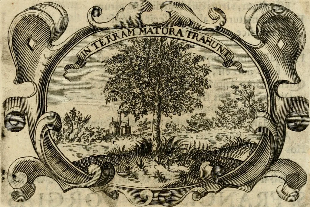 An illustration from Divo Francisco Borgiæ è Duce Gandiæ tertio, Soc. Jesu generali, à Clemente X Pont. Max. sanctorum clitum fastis ad scripto, Encomia emblemate, prosa, versu in de salvatoris Soc. Iesv ad S. Clementem, publice affixa in perpetuum amoris monumentum re ac typis incidi fecerunt, dum philosophum eius auspicys cptam primâ laureâ coronarent, 1672, leaf 96