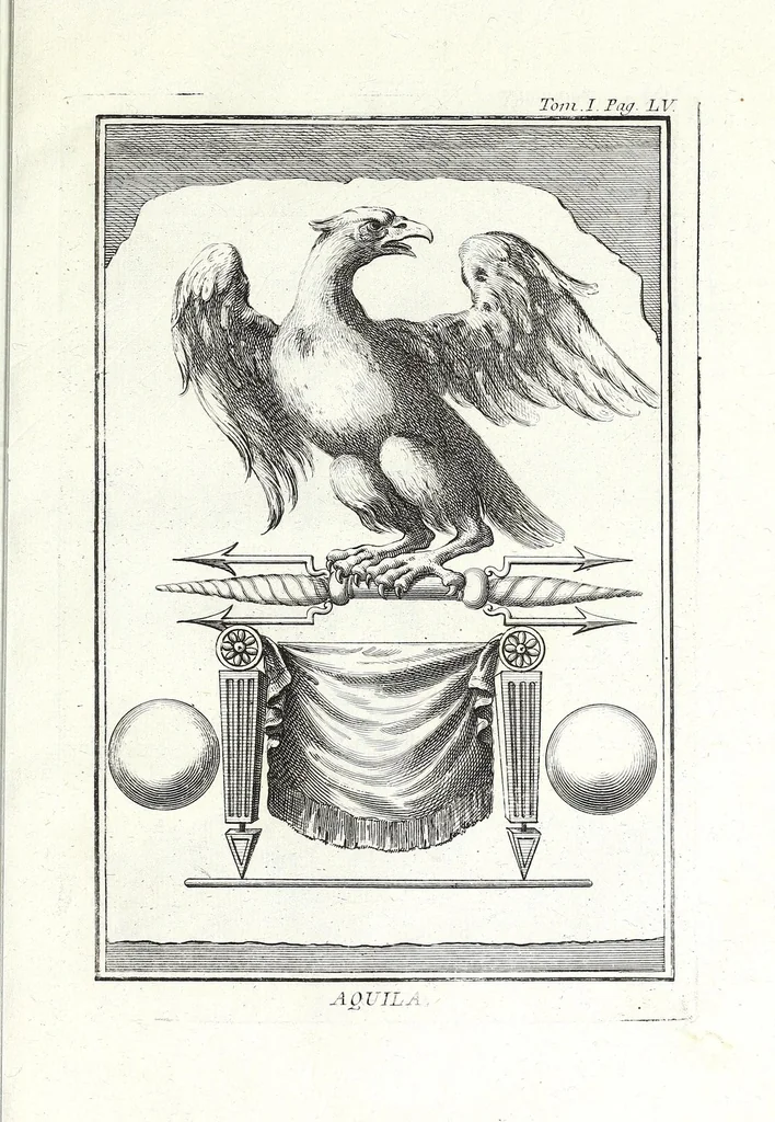 An illustration from Dizionario mitologico, ovvero, Della favola, storico, poetico, simbolico ec. in cui esattamente si spiega l'origine degli dei, de' semidei, e degli eroi dell' antico gentilesimo, i misterj, i dogmi, il culto, i sacrifizj, i giuochi, le feste, e tutto ciò, che appartiene alla religione de' gentili ..., 1776, leaf 287