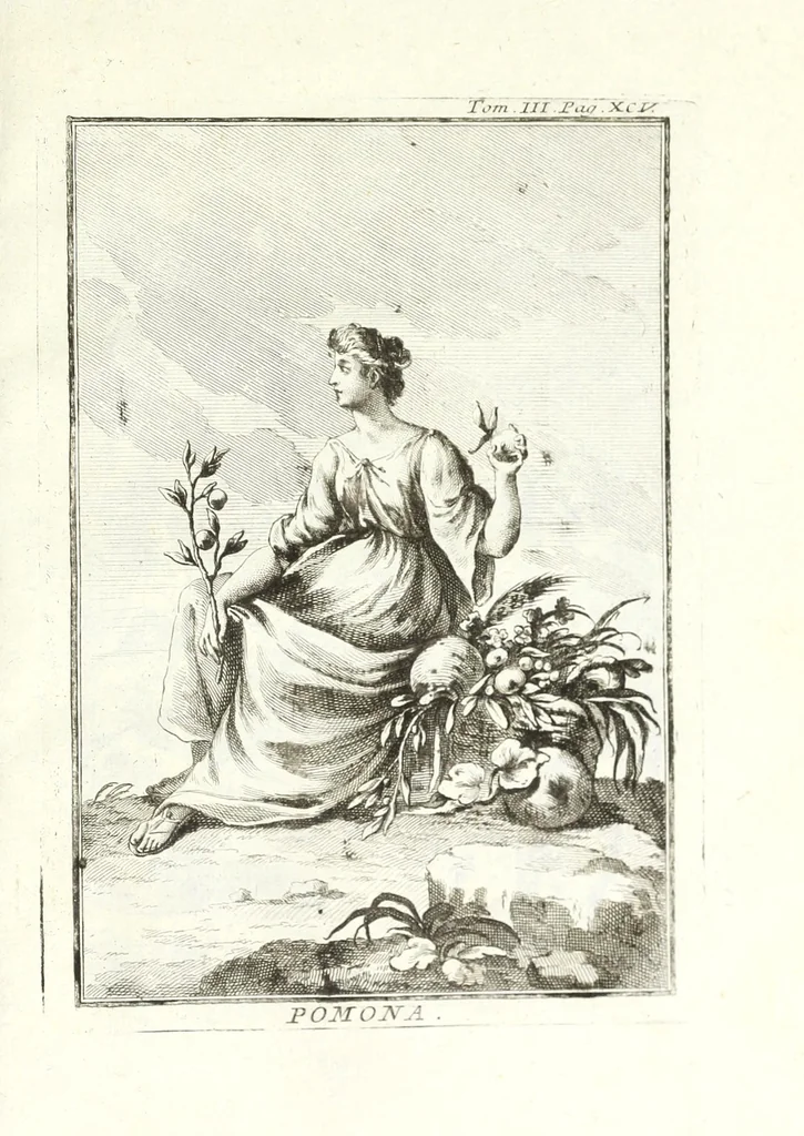 An illustration from Dizionario mitologico, ovvero, Della favola, storico, poetico, simbolico ec. in cui esattamente si spiega l'origine degli dei, de' semidei, e degli eroi dell' antico gentilesimo, i misterj, i dogmi, il culto, i sacrifizj, i giuochi, le feste, e tutto ciò, che appartiene alla religione de' gentili ..., 1776, leaf 281