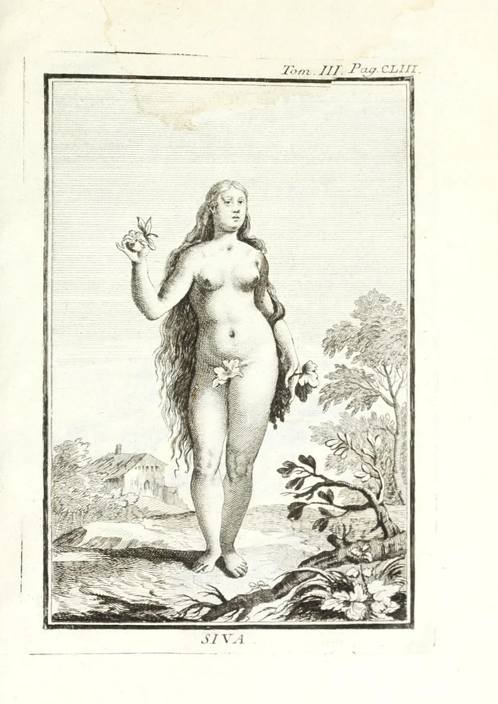An illustration from Dizionario mitologico, ovvero, Della favola, storico, poetico, simbolico ec. in cui esattamente si spiega l'origine degli dei, de' semidei, e degli eroi dell' antico gentilesimo, i misterj, i dogmi, il culto, i sacrifizj, i giuochi, le feste, e tutto ciò, che appartiene alla religione de' gentili ..., 1776, leaf 337