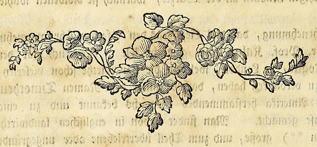 An illustration from D. Johann Christian Daniel Schrebers ... Beschreibung der Gräser : nebst ihren Abbildungen nach der Natur .., 1769, leaf 154