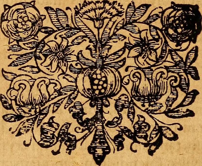 An illustration from D. Johannis Tackii ... Triplex phasis sophicus solis orbe expeditus humanaeque fragilitati & spei resurrectionis rerum consecratus, 1673, leaf 245