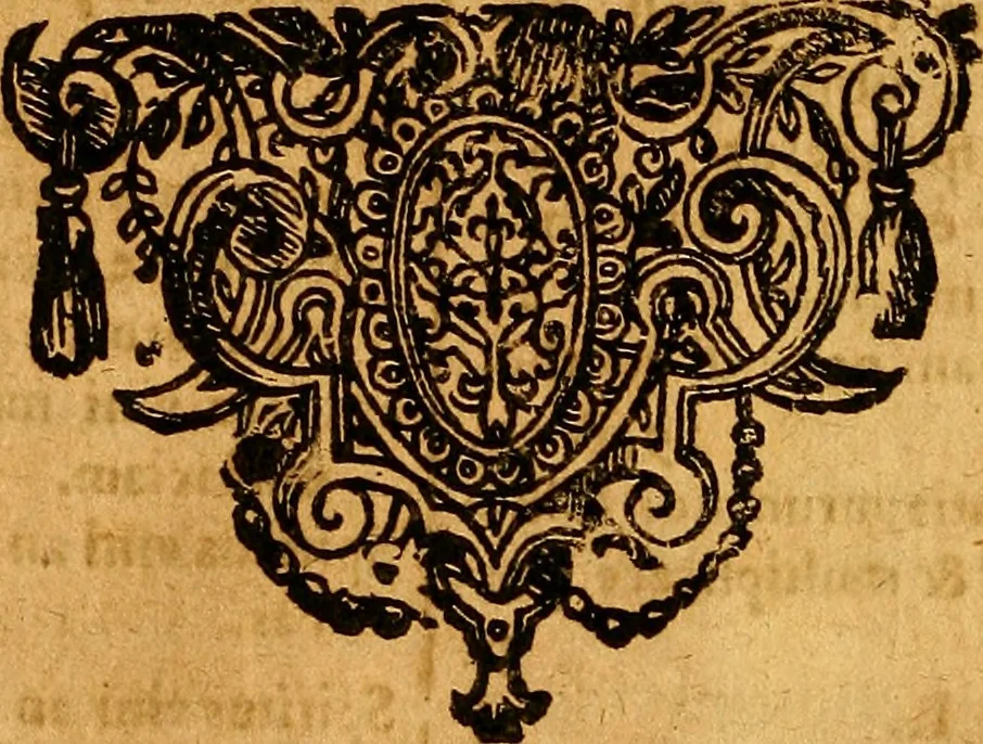 An illustration from D. Johannis Tackii ... Triplex phasis sophicus solis orbe expeditus humanaeque fragilitati & spei resurrectionis rerum consecratus, 1673, leaf 57