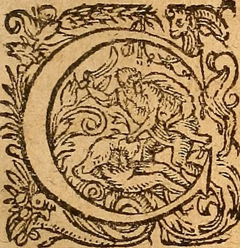 An illustration from D. Johannis Tackii ... Triplex phasis sophicus solis orbe expeditus humanaeque fragilitati & spei resurrectionis rerum consecratus, 1673, leaf 58