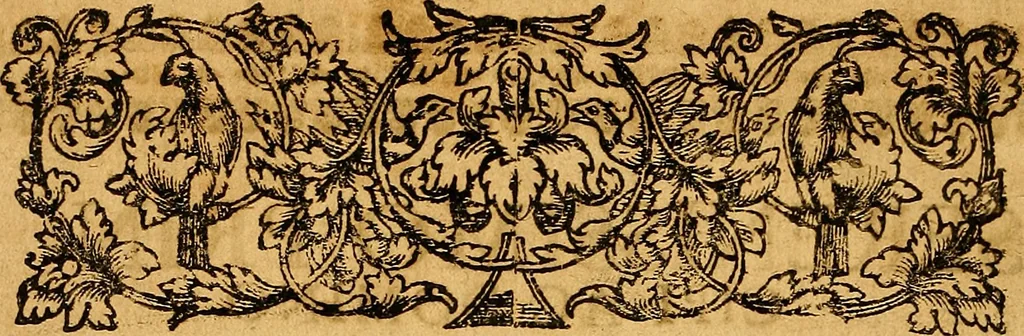 An illustration from D. Johannis Tackii ... Triplex phasis sophicus solis orbe expeditus humanaeque fragilitati & spei resurrectionis rerum consecratus, 1673, leaf 9
