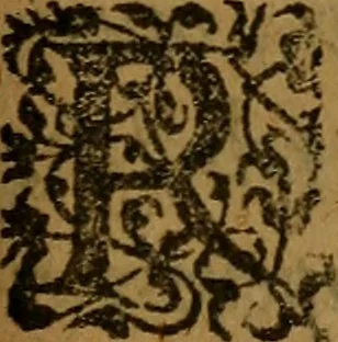An illustration from Doctissimi viri Nicolai Sanderi, De origine ac progressu schismatis Anglicani, liber : continens historiam maximè ecclesiasticam, annorum circiter sexaginta, lectu dignissimam: nimirum, ab anno 21. regni Henrici 8, quo primum cogitare cæpit de repudianda legitima vxore serenissima Catherina, usque ad hunc vigesimum septimum Elizabethæ, quæ ultima est eiusdem Henrici soboles, 1585, leaf 378