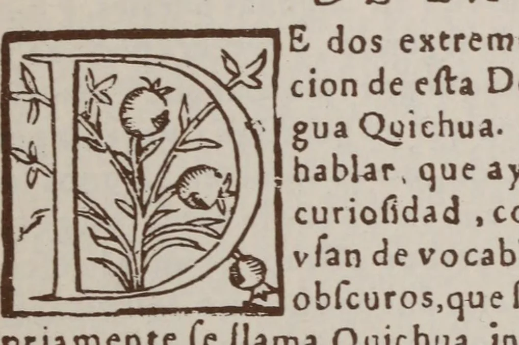 An illustration from Doctrina Christiana, y catecismo para instruccion de los Indios, y de las de mas personas ... : con vn confessionario, y otras cosas necessarias ..., 1584, leaf 165