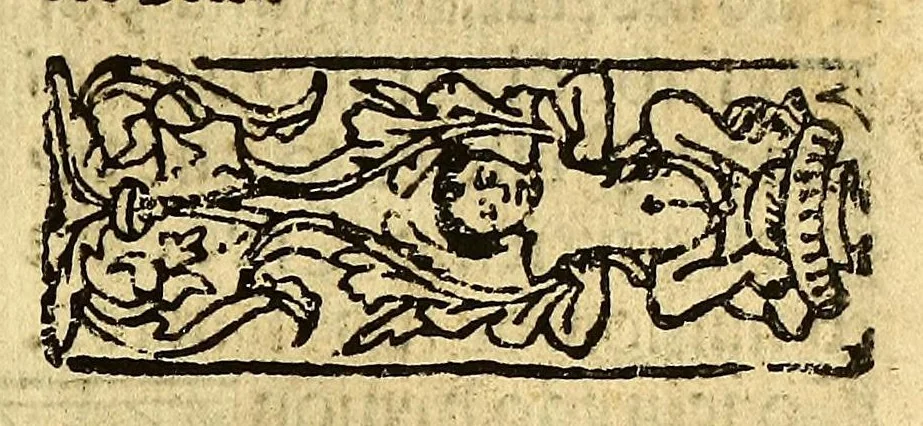 An illustration from Doctrina Christiana en lengua Castellana y Çapoteca:, 1567, leaf 101