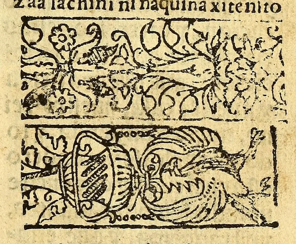 An illustration from Doctrina Christiana en lengua Castellana y Çapoteca:, 1567, leaf 105