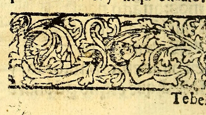 An illustration from Doctrina Christiana en lengua Castellana y Çapoteca:, 1567, leaf 114