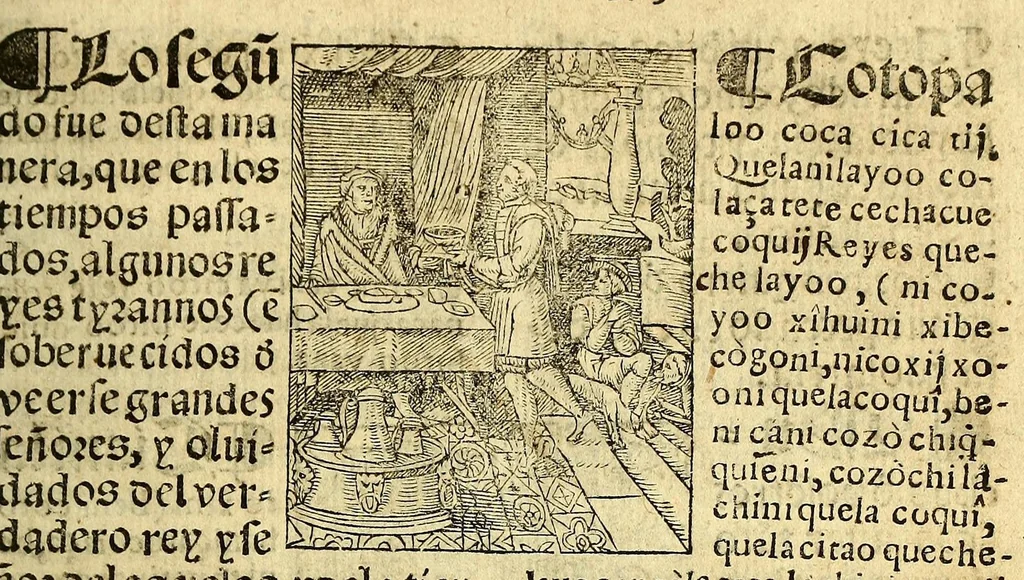 An illustration from Doctrina Christiana en lengua Castellana y Çapoteca:, 1567, leaf 133