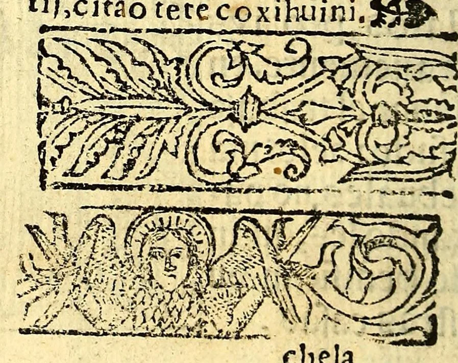 An illustration from Doctrina Christiana en lengua Castellana y Çapoteca:, 1567, leaf 162