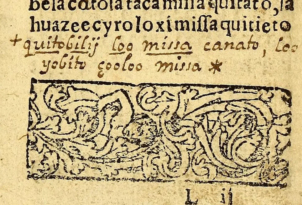 An illustration from Doctrina Christiana en lengua Castellana y Çapoteca:, 1567, leaf 171