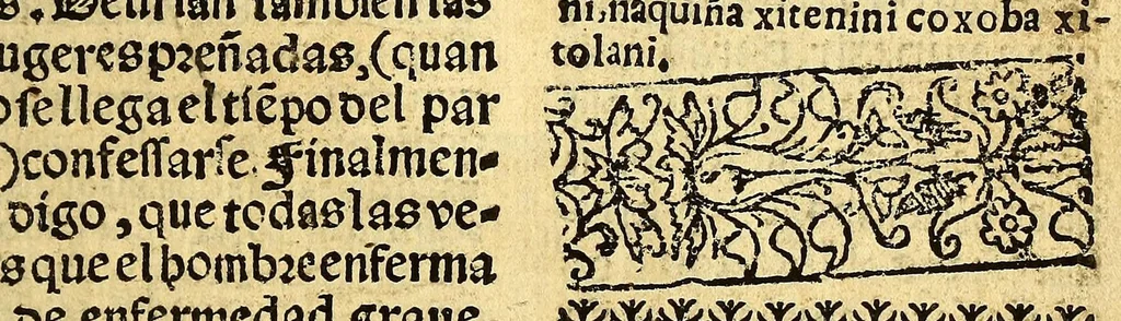 An illustration from Doctrina Christiana en lengua Castellana y Çapoteca:, 1567, leaf 175