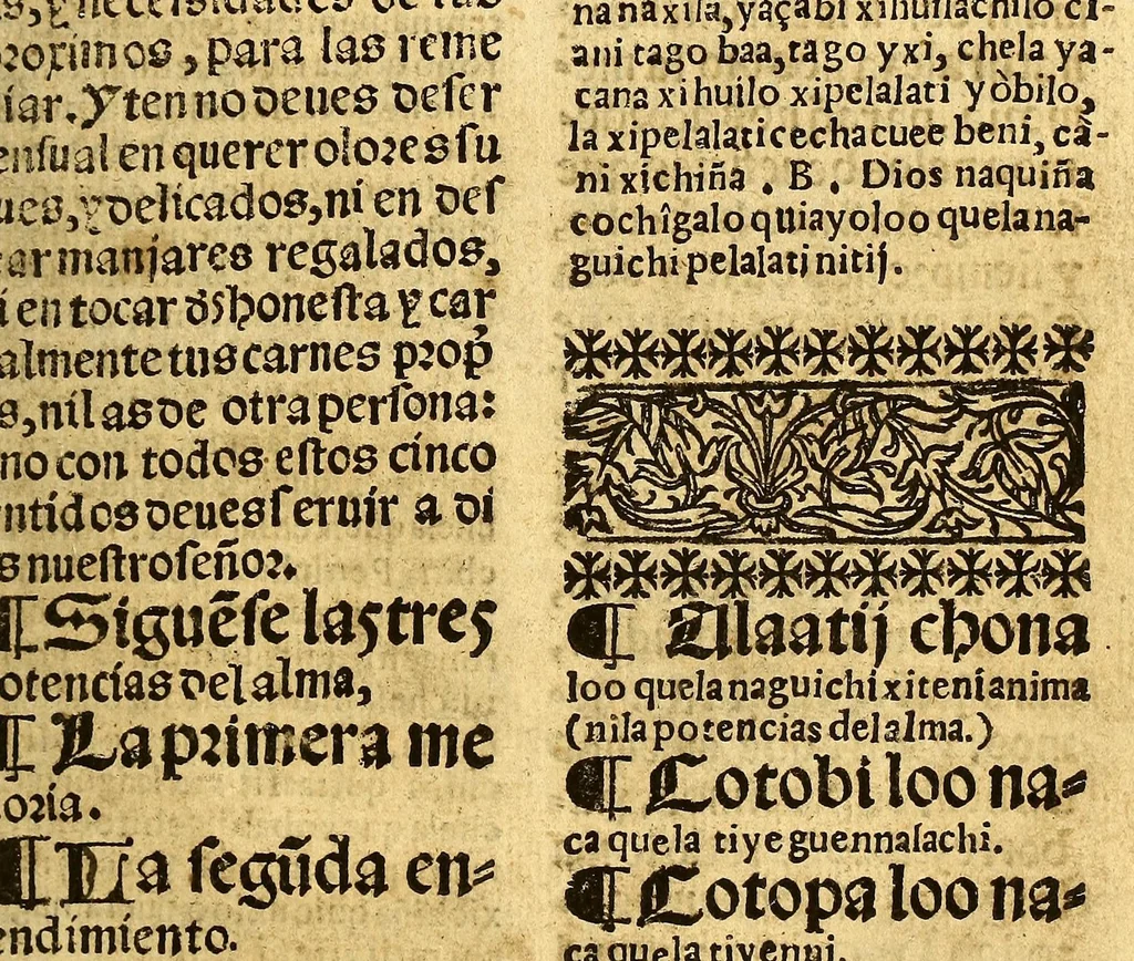 An illustration from Doctrina Christiana en lengua Castellana y Çapoteca:, 1567, leaf 201