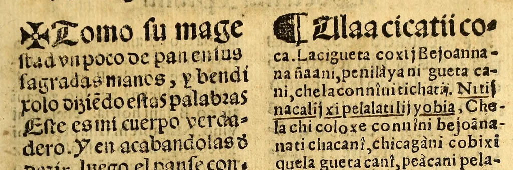 An illustration from Doctrina Christiana en lengua Castellana y Çapoteca:, 1567, leaf 219