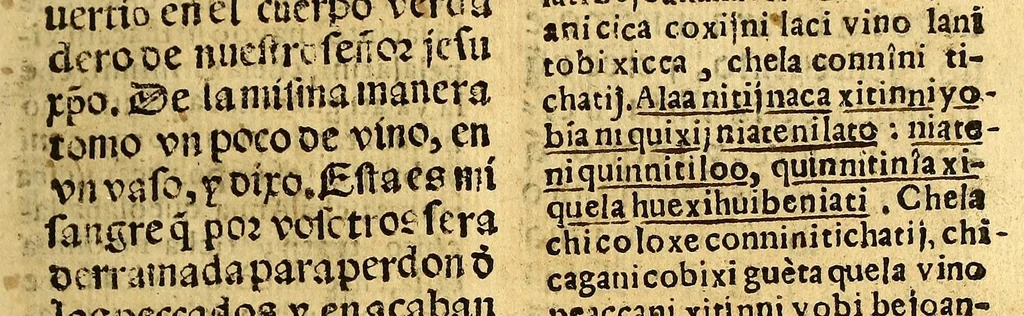An illustration from Doctrina Christiana en lengua Castellana y Çapoteca:, 1567, leaf 219