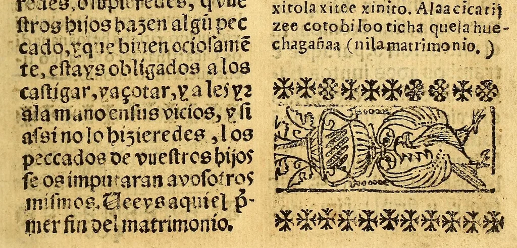 An illustration from Doctrina Christiana en lengua Castellana y Çapoteca:, 1567, leaf 227