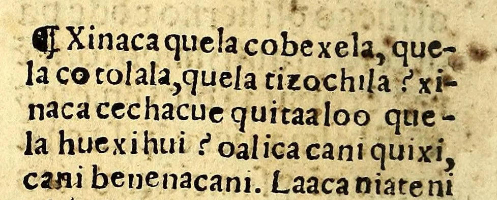 An illustration from Doctrina Christiana en lengua Castellana y Çapoteca:, 1567, leaf 24