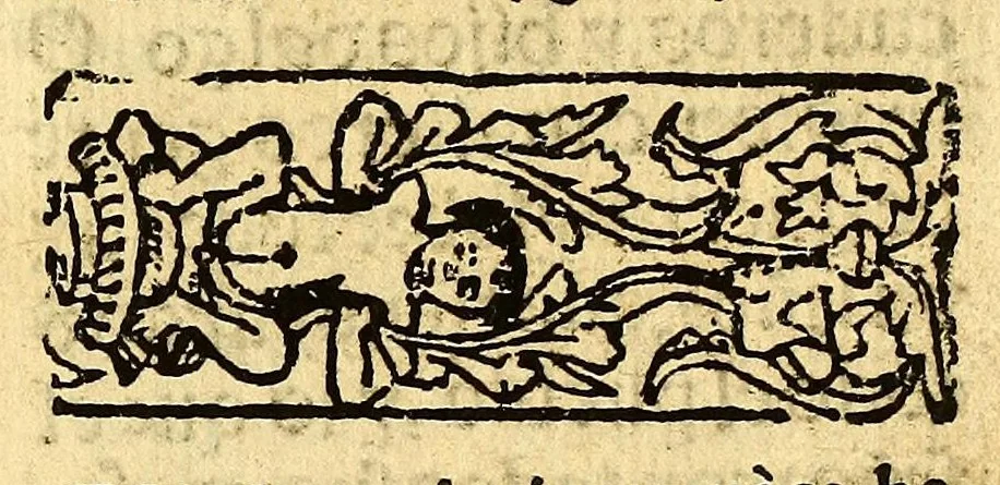 An illustration from Doctrina Christiana en lengua Castellana y Çapoteca:, 1567, leaf 95