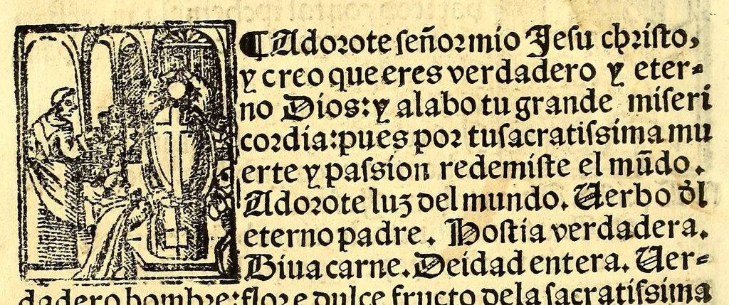An illustration from Doctrina christiana en la lengua guasteca co[n] la lengua castellana, : la guasteca correspondiente acada palabra: de guasteco: segun q[ue] se pudo tolerar en la frasis: de la lengua guasteca:, 1571, leaf 82