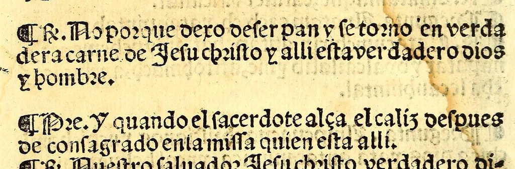 An illustration from Doctrina christiana en la lengua guasteca co[n] la lengua castellana, : la guasteca correspondiente acada palabra: de guasteco: segun q[ue] se pudo tolerar en la frasis: de la lengua guasteca:, 1571, leaf 96