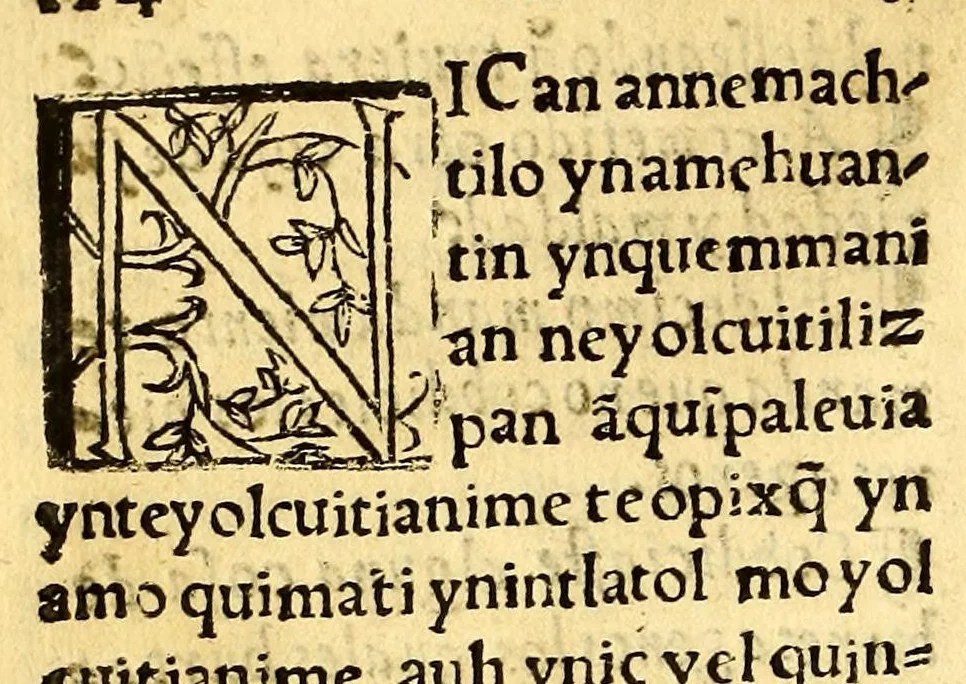 An illustration from Doctrina christiana muy cumplida, : donde se contiene la exposicion de todo lo necessario para doctrinar alos Yndios, y administralles los Sanctos Sacramentos., 1575, leaf 140