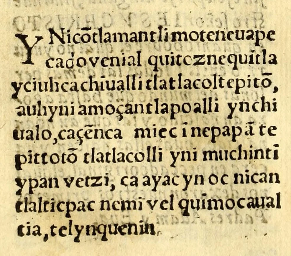 An illustration from Doctrina christiana muy cumplida, : donde se contiene la exposicion de todo lo necessario para doctrinar alos Yndios, y administralles los Sanctos Sacramentos., 1575, leaf 192