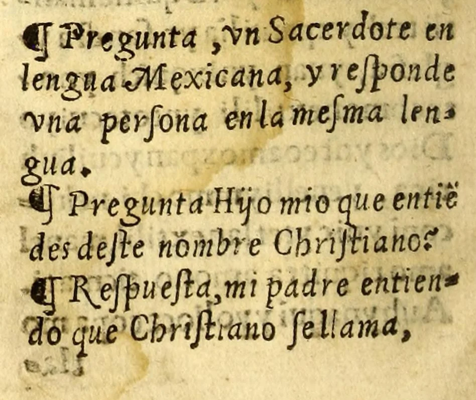 An illustration from Doctrina christiana muy cumplida, : donde se contiene la exposicion de todo lo necessario para doctrinar alos Yndios, y administralles los Sanctos Sacramentos., 1575, leaf 208