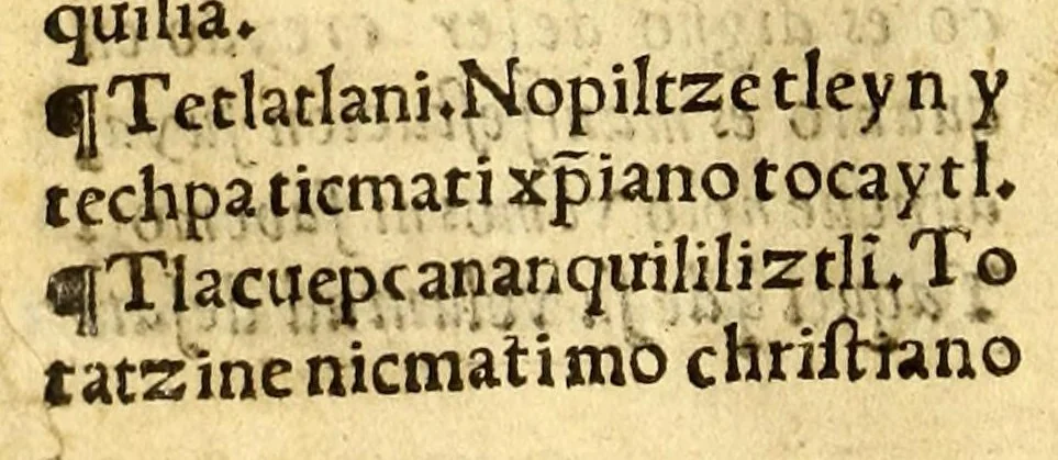 An illustration from Doctrina christiana muy cumplida, : donde se contiene la exposicion de todo lo necessario para doctrinar alos Yndios, y administralles los Sanctos Sacramentos., 1575, leaf 208