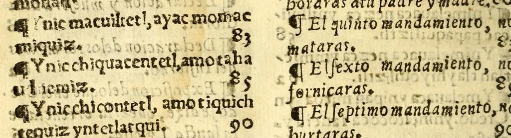 An illustration from Doctrina christiana muy cumplida, : donde se contiene la exposicion de todo lo necessario para doctrinar alos Yndios, y administralles los Sanctos Sacramentos., 1575, leaf 294