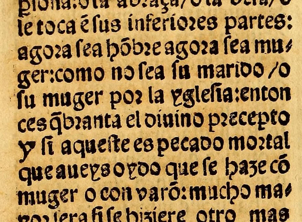 An illustration from Doctrina christiana en le[n]gua española y mexicana: : hecha por los religiosos de la orden de S[an]cto Domingo, 1550, leaf 144