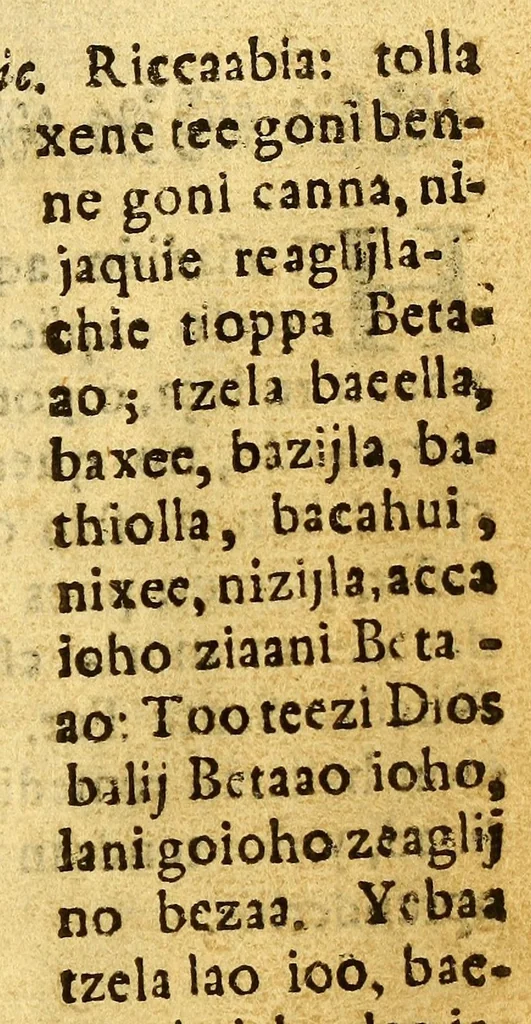 An illustration from [Doctrina christiana, traducida de la lengua castellana, en lengua zapoteca nexitza. Con otras addiciones utiles y necessarias para la educacion catholica y excitacion a la devocion christiana., 1687, leaf 291