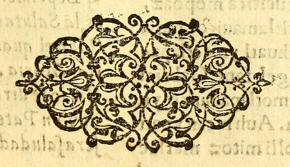 An illustration from Doctrina christiana muy cumplida, : donde se contiene la exposicion de todo lo necessario para doctrinar alos Yndios, y administralles los Sanctos Sacramentos., 1575, leaf 251