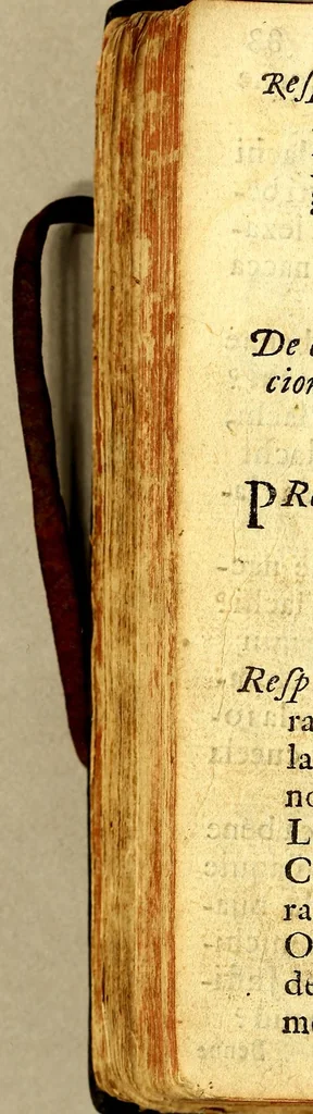 An illustration from Doctrina christiana, traducida de la lengua castellana, en lengua zapoteca nexitza. Con otras addiciones utiles, y necessarias, para la educación catholica, y excitacion a la devocion christiana,, 1689, leaf 232