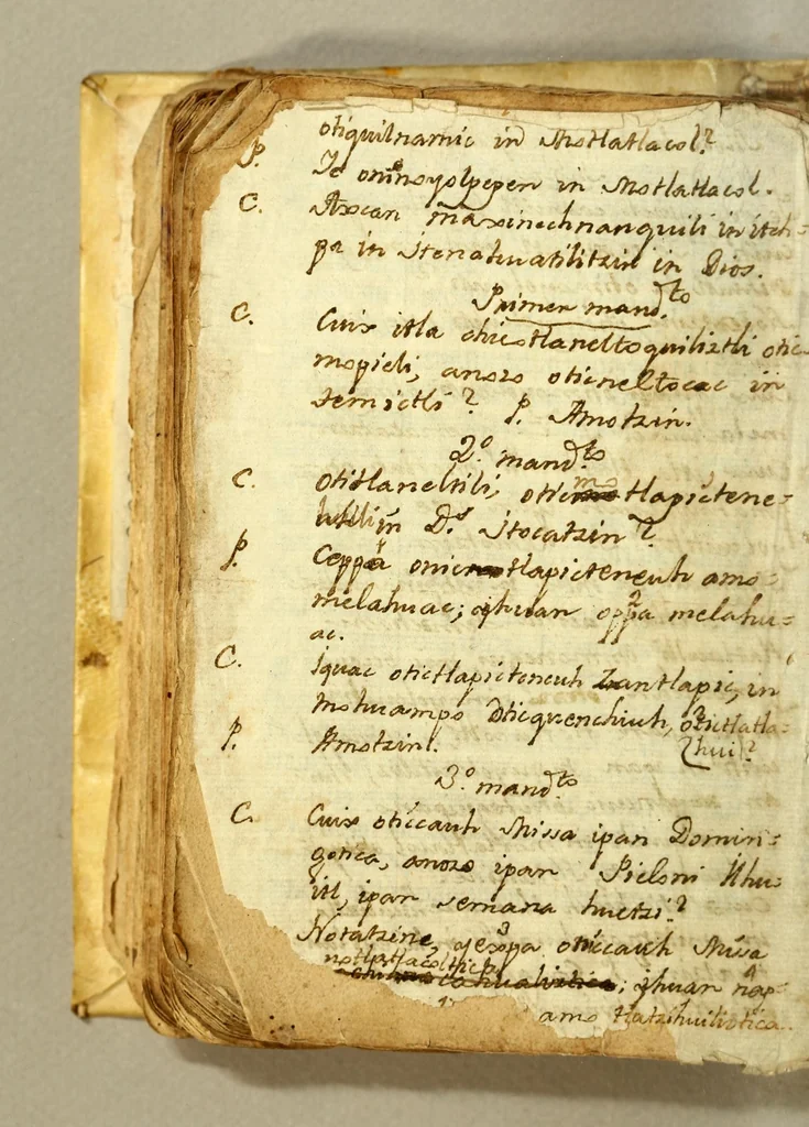 An illustration from [Doctrina cristiana en lengua mexicana.], 1548, leaf 116