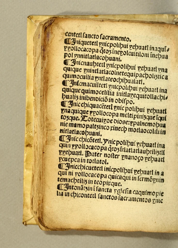 An illustration from [Doctrina cristiana en lengua mexicana.], 1548, leaf 88