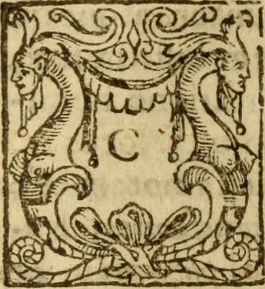 An illustration from Doctrinae Christianae compendium : seu, Commentarii catechetici, 1585, leaf 137