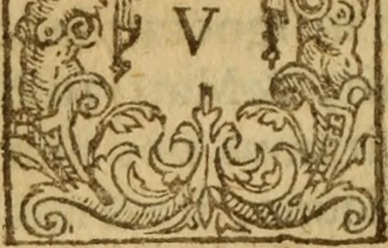 An illustration from Doctrinae Christianae compendium : seu, Commentarii catechetici, 1585, leaf 205