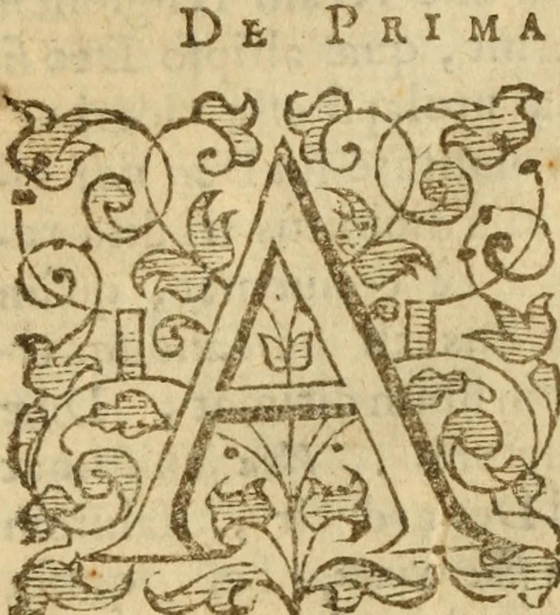 An illustration from Doctrinae Christianae compendium : seu, Commentarii catechetici, 1585, leaf 23
