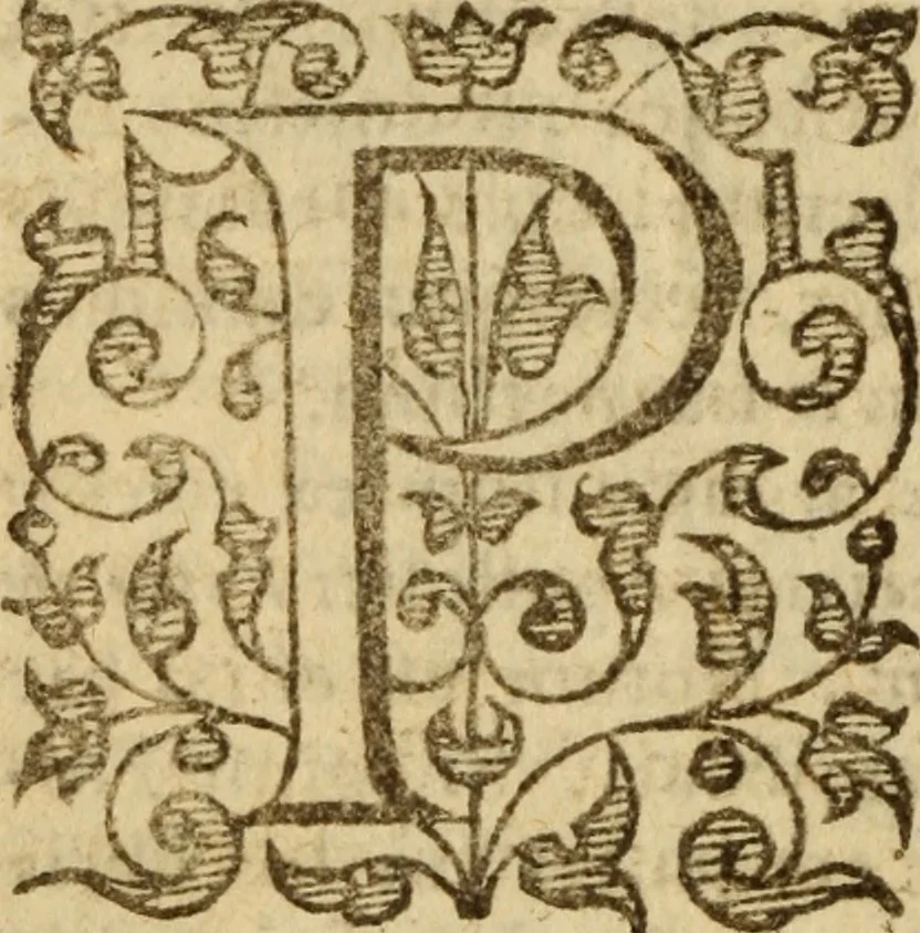 An illustration from Doctrinae Christianae compendium : seu, Commentarii catechetici, 1585, leaf 25