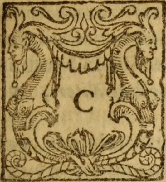 An illustration from Doctrinae Christianae compendium : seu, Commentarii catechetici, 1585, leaf 266