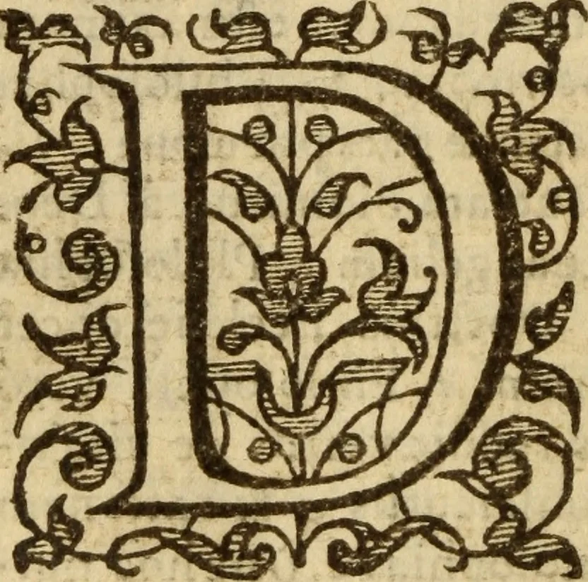 An illustration from Doctrinae Christianae compendium : seu, Commentarii catechetici, 1585, leaf 29
